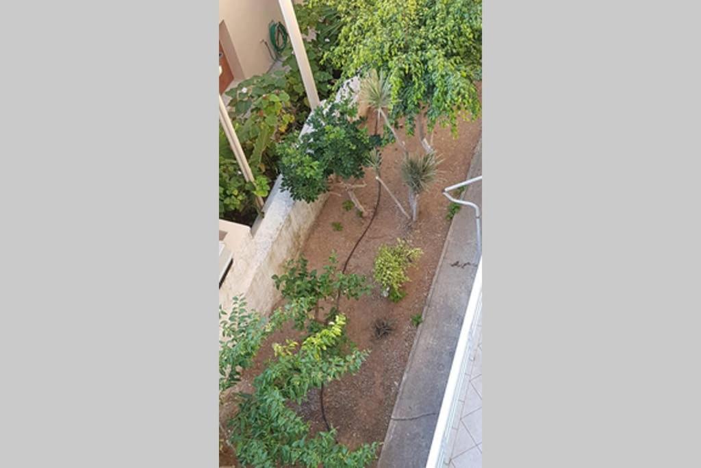 Ellis Apartments , Amperia , Crete Chania  Екстер'єр фото